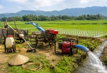 Pendampingan Penyuluh Dinilai Kunci Efektivitas Bantuan Alsintan