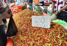Rica Turun, Tomat dan Cabai Makin Murah di Pasar Rabu Andalas