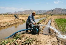 Hadapi Kemarau, Petani Harap Bantuan Pompa Air Segera Direalisasikan Pemerintah