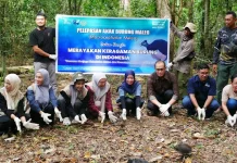 Lepas Anak Maleo Tandai Rapat Anggota Burung Indonesia di Gorontalo