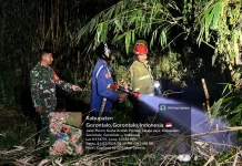 Kebakaran Bambu di Limboto, Warga Diimbau Waspada