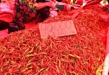 Update Harga Pasar: Rica Rp40 Ribu per Kilogram di Pasar Minggu Telaga
