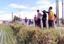 Deprov Gorontalo Tinjau Persawahan di Bone Bolango, Dorong Produktivitas Petani