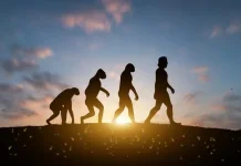 Fakta Baru Evolusi Manusia