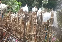 Tak Dikubur atau Dikremasi, Ini Keunikan Tradisi Pemakaman Desa Trunyan