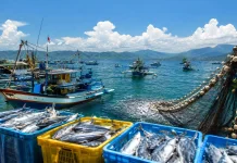 Potensi Perikanan Tangkap Provinsi Gorontalo Capai 1,3 Juta Ton