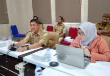 BPBD Gorontalo: Sinergi Daerah Kunci Sukses Pemetaan Aset RR