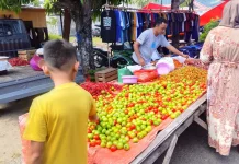Harga Kebutuhan  di Pasar Oluhuta Suwawa Stabil, Tomat Anjlok hingga Rp3.000/kg