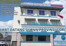 BNNP Ajak Seluruh Elemen Perkuat Perang Melawan Narkoba