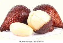 Kaya Nutrisi, Ini 5 Manfaat Buah Salak untuk Kesehatan Tubuh