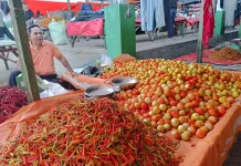 Harga Kebutuhan Pokok di Pasar Kayubulan Limboto Terpantau Normal