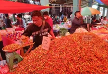 Harga Rica dan Tomat Turun, Komoditas Lain di Pasar Jumat Telaga Relatif Stabil
