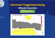 BPBD Imbau Nelayan Waspadai Gelombang Tinggi di Teluk Tomini Selatan