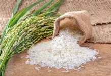 Tujuh  Beras Lokal Terenak di Indonesia
