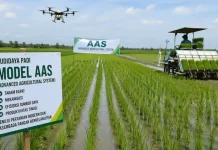 Petani Perlu Beradaptasi dengan Pertanian Modern Hadapi Perubahan Iklim
