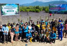 Tanam 3.000 mangrove, Warga Bajo Integrasikan Mangrove dan Budidaya Kepiting