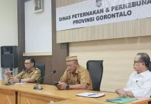 Dinas Peternakan Perkebunan Selesaikan Masalah Harga TBS Pekebun Mitra Swadaya