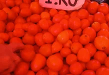 Harga Rica Bertahan Rp40 Ribu di Pasar Rabu Andalas