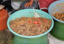Mengenal Pekasam Kuliner Fermentasi Khas Kalimantan Selatan yang Lezat