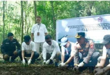 Delapan Burung Maleo Dilepasliarkan di Cagar Alam Panua