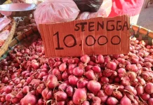 Harga Barito di Pasar Jumat Telaga Stabil, Bawang Merah dan Tomat Murah
