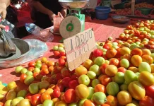 Harga Barito Relatif Stabil, Tomat Naik di Pasar Jumat Telaga