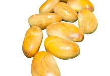 Manfaat Biji Nangka bagi Kesehatan