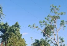 BMKG: Gorontalo Cerah hingga Berawan, Bone Berpotensi Hujan Ringan Hari Ini