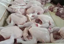 TPID Provinsi Gorontalo Temukan Perbedaan Harga Daging Ayam di Pasar