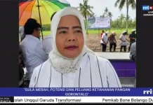 Hilirisasi Gula Aren Masih Terkendala