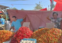 Harga Cabai Bertahan, Sayuran dan Tomat Murah di Pasar Andalas