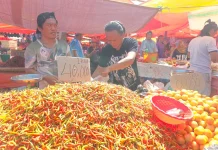 Harga Cabai Rawit di Gorontalo Turun, Warga Diuntungkan?