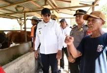 Pemprov Gorontalo Genjot Inseminasi Buatan Tingkatkan Populasi Sapi
