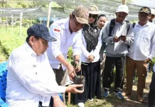 Satu Juta Bibit Kakao Siap Disalurkan ke Petani Boalemo