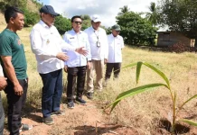 Dukung Program Hilirisasi, 200 Hektar Lahan di Pohuwato Ditanami Kelapa