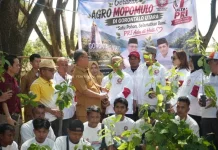 Gorut Terima 1.000 Bibit Buah Dukung Gerakan Agro Mopomulo