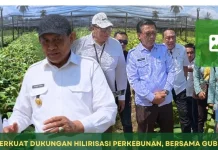 Satu Juta Bibit Kakao Gorontalo Disalurkan November 2026