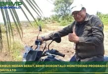 BRMP Gorontalo Evaluasi Cetak Sawah Rakyat di Pohuwato