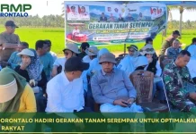 BRMP Gorontalo Hadiri Gerakan Tanam Serempak untuk Optimalkan Lahan Cetak Sawah R