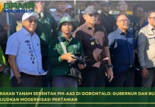 Gerakan Tanam Serentak PM-AAS di Gorontalo: Gubernur dan Bupati Komit Wujudkan Mode