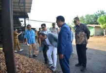 Potensi Hilirisasi Kelapa Gorontalo Dilirik Dubes UEA