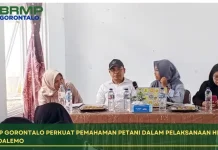 BRMP Gorontalo Sosialisasikan Hilirisasi Kakao di Boalemo