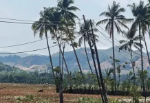 BMKG: Cuaca Gorontalo Umumnya Cerah Berawan Sabtu Ini, Waspada Kemarau