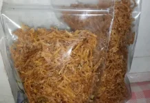 Abon Pepaya Muda Lauk Hemat Renyah Solusi Praktis