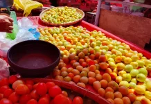 Kemarau, Harga Barito dan Sayuran di Gorontalo Tetap Stabil