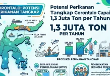 Potensi Perikanan Tangkap Gorontalo Capai 1,3 Juta Ton per Tahun