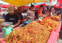 Harga Cabai di Pasar Andalas Gorontalo Capai Rp100 Ribu per Kilogram