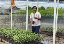 Burung Indonesia Rumuskan Strategi Pengembangan Pasar Karbon di Gorontalo