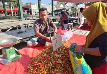 Harga Rica di Pasar Jumat Telaga Turun Jadi Rp75 Ribu per Kilogram