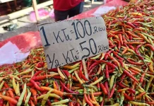 Harga Rica di Pasar Minggu Telaga Kembali Naik